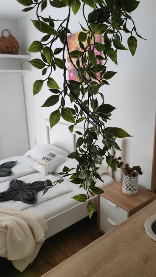 Super Cozy & Central Apartment Boedapest Buitenkant foto